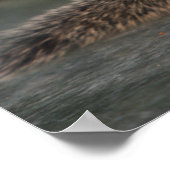 インディアンでコーヒーカップから飲むリス ポスター (角)