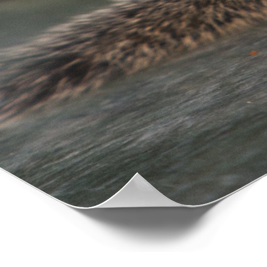 インディアンでコーヒーカップから飲むリス ポスター (角)