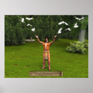インディアンとハト ポスター
