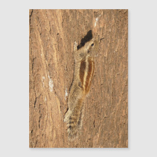 インディアンのパームリスの木の幹