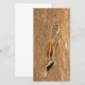 インディアンのパームリスの木の幹 (正面/裏面)