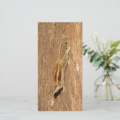 インディアンのパームリスの木の幹 (スタンド正面)