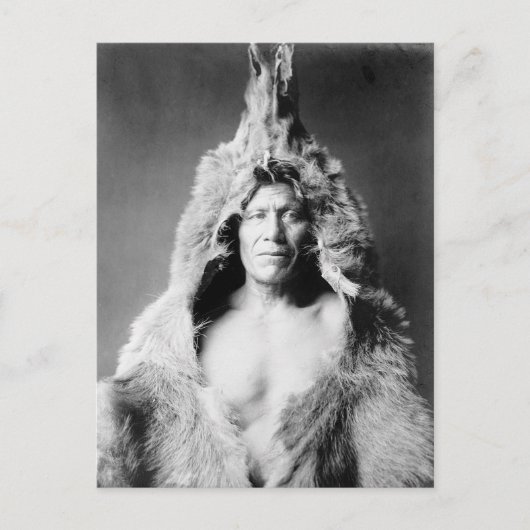 インディアンのベアスキンの着用， 1908 ポストカード (正面)
