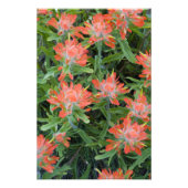 インディアンのペイントブラシのワイルドフラワーの多く フォトプリント            (正面)