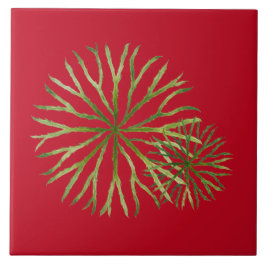 インディアンの夏のセラミックタイル(M) タイル