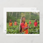 インディアンの女性 ポストカード (正面/裏面)