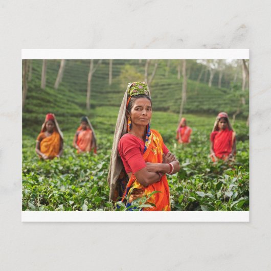 インディアンの女性 ポストカード (正面)