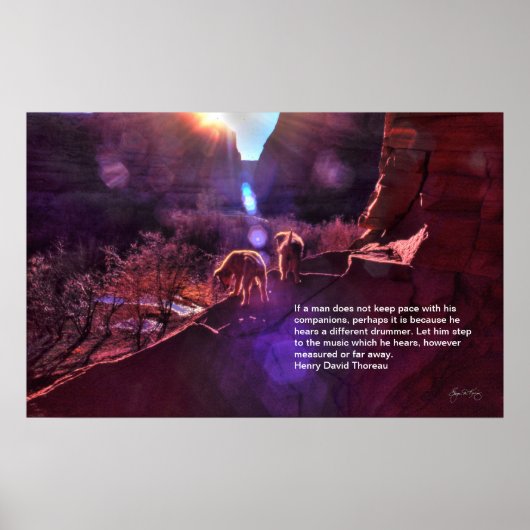 インディアンの子犬が新しい日を迎えるキャニオンデチェル ポスター (正面)