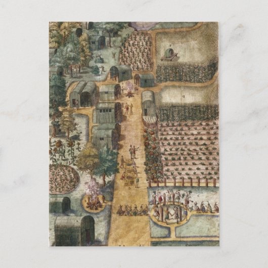 インディアンの村Secoton, c.1570-80 ポストカード (正面)