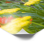 インディアンの絵筆とビスケートルワイルドフラワー フォトプリント (角)