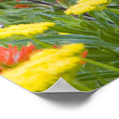 インディアンの絵筆とビスケートルワイルドフラワー ポスター (角)