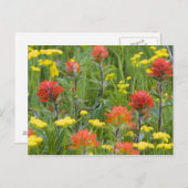 インディアンの絵筆とビスケートルワイルドフラワー ポストカード (正面/裏面)