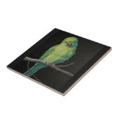 インディアンのRingneckのメスのオウム タイル (側面)