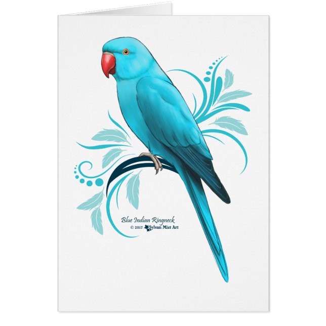 インディアンのRingneckの青いオウム (正面)