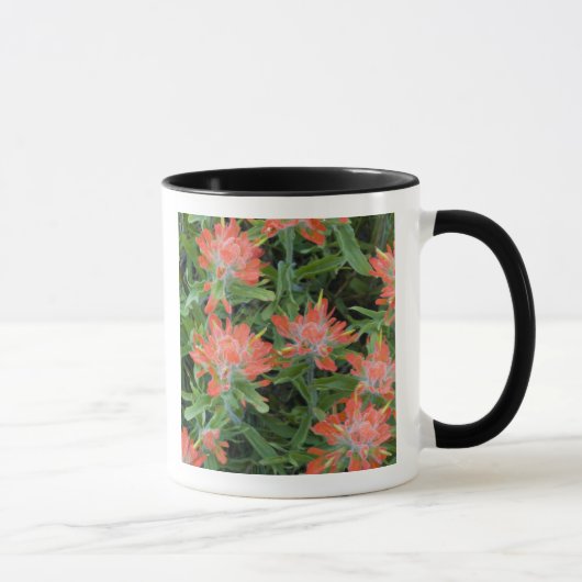 インディアンは山の花を描く マグカップ (右)
