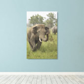 インディアンアジアゾウ挨拶 キャンバスプリント (インサイチュ (ウッドフロア))