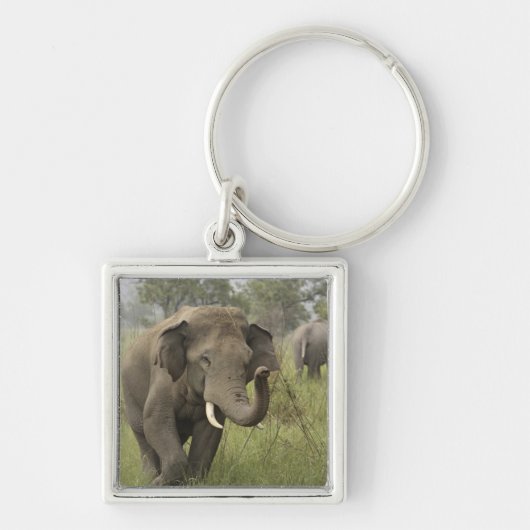 インディアンアジアゾウ挨拶 キーホルダー (正面)