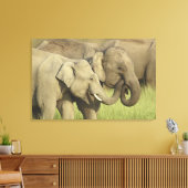 インディアンアジアゾウ キャンバスプリント (インサイチュ (リビング))