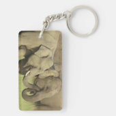 インディアンアジアゾウ キーホルダー (裏面)