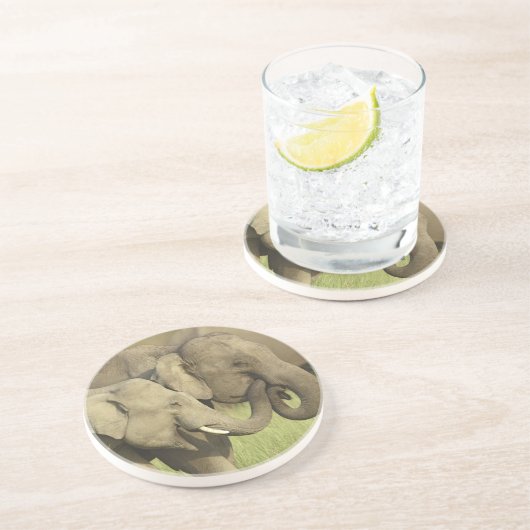 インディアンアジアゾウ コースター (側面)