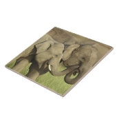 インディアンアジアゾウ タイル (側面)