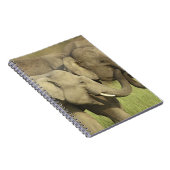 インディアンアジアゾウ ノートブック (右側)