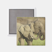 インディアンアジアゾウ マグネット (正面/裏面)