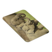 インディアンアジアゾウ マグネット (右側)