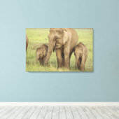 インディアンアジアンエレファント&ヤング キャンバスプリント (インサイチュ (ウッドフロア))