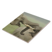 インディアンアジアン遊ゾウズ戦 タイル (側面)