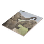 インディアンアジアン遊ゾウズ戦 タイル (側面)