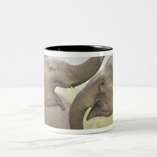 インディアンアジアン遊ゾウズ戦 ツートーンマグカップ (中央)