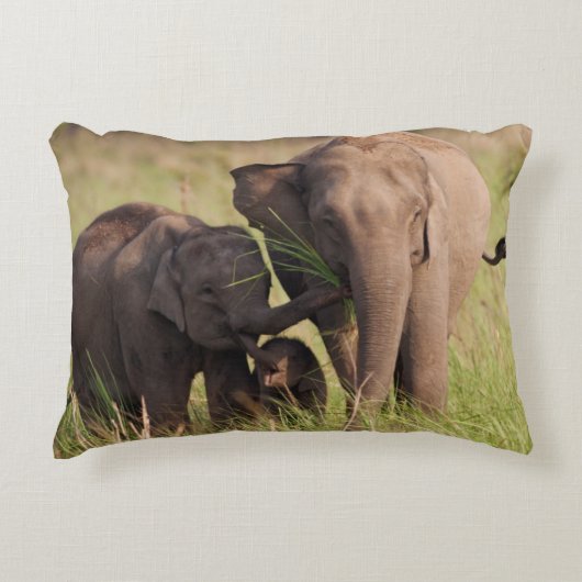 インディアンアジア象サバンナ族 アクセントクッション (正面)