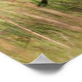 インディアンアジア象サバンナ族 ポスター (角)