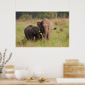 インディアンアジア象サバンナ族 ポスター (キッチン)