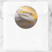 インディアンアルビノPython Ho Chi Minh City Zoo,ベトナム ラウンドシール (バッグ)