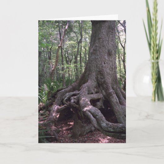 インディアンアーティフカスタムァクトルイジアナグリーティングカード カード (正面)