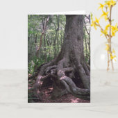 インディアンアーティフカスタムァクトルイジアナグリーティングカード カード (黄色い花)