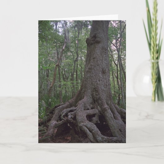 インディアンアーティフカスタムァクトルイジアナグリーティングカード カード (正面)