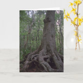 インディアンアーティフカスタムァクトルイジアナグリーティングカード カード (黄色い花)