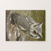 インディアンイーグルフクロウ ジグソーパズル (横)