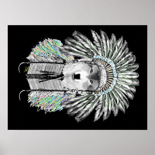 インディアンオオカミ ポスター (正面)