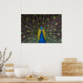 インディアンカラフルクジャクの尾羽が前面に開く ポスター (キッチン)