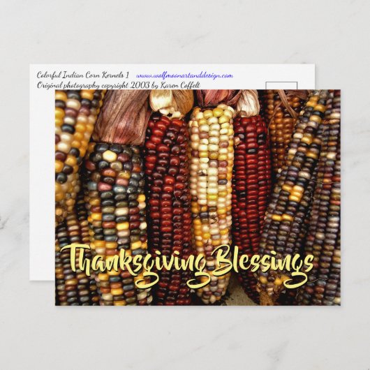 インディアンカラフルコーンのカーネルフォト感謝祭 ポストカード (正面/裏面)