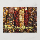 インディアンカラフルコーンのカーネルフォト感謝祭 ポストカード (正面)