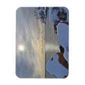 インディアンコーブマグネット マグネット (縦)