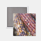 インディアンコーンのユニオン広場グリーンマーケット、ニューY マグネット (正面/裏面)