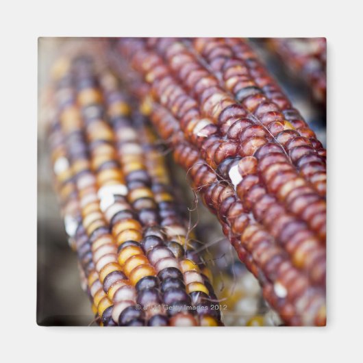 インディアンコーンのユニオン広場グリーンマーケット、ニューY マグネット (正面)