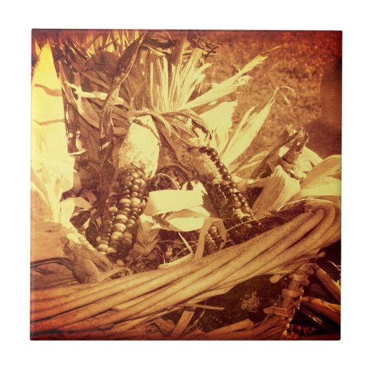 インディアンコーンのヴィンテージ外観 タイル (正面)