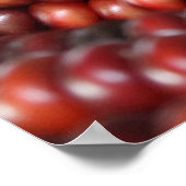 インディアンコーン素朴な写真 ポスター (角)